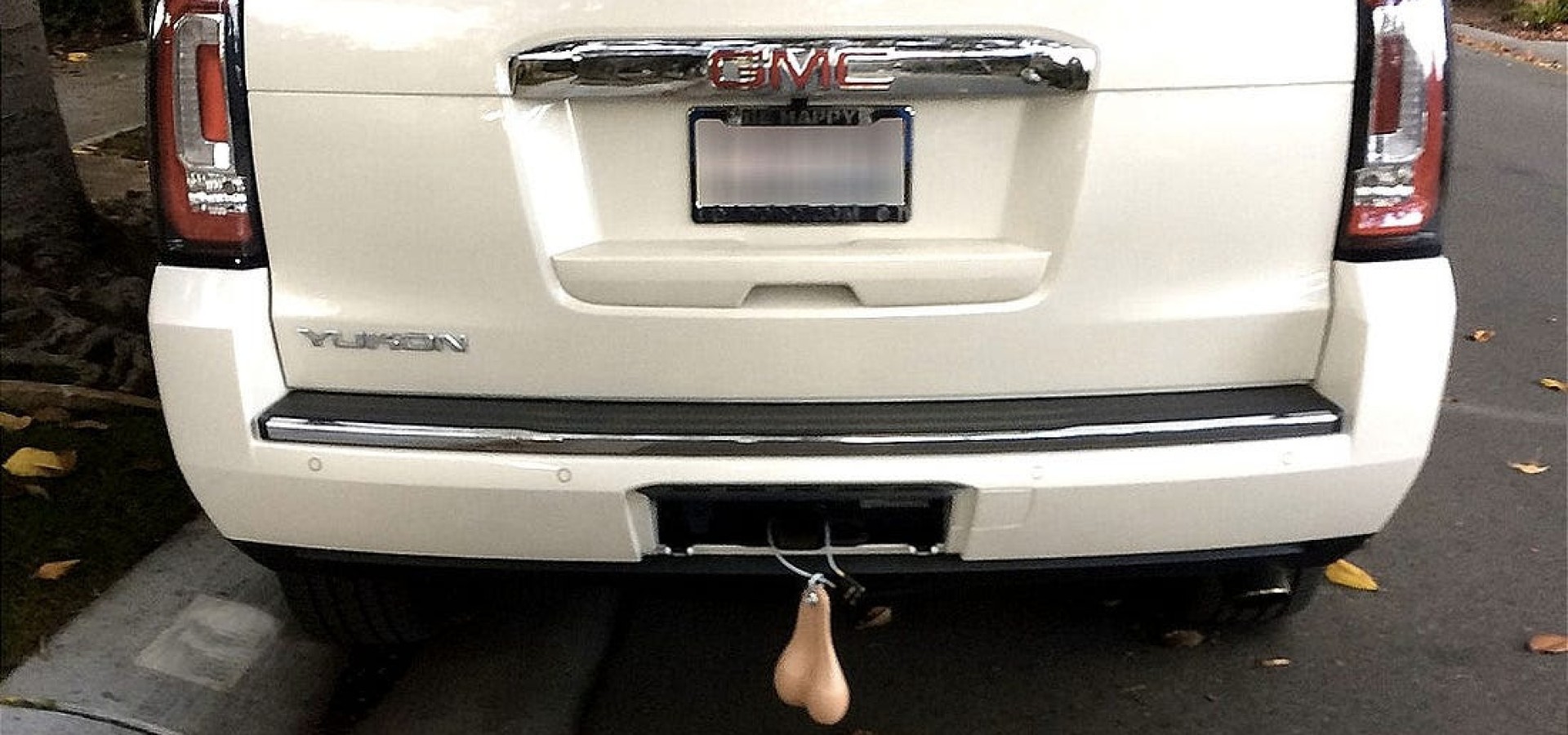 Idaho’s indecent exposure law is so strict, it even bans your "truck nuts"